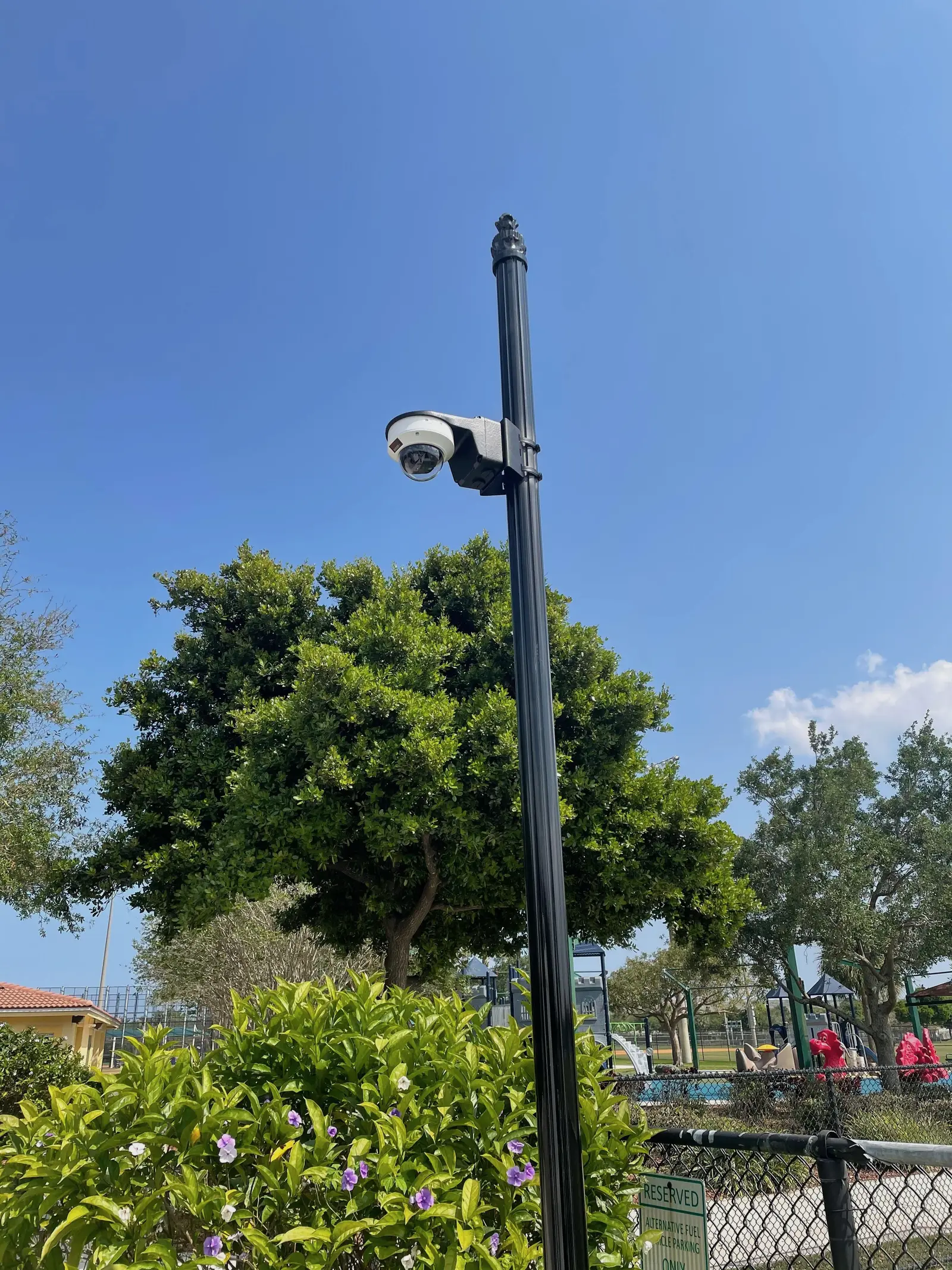 A surveillance camera mounted partway up a black pole above flowering shrubs, with a playground and shade trees behind it under a clear sky.